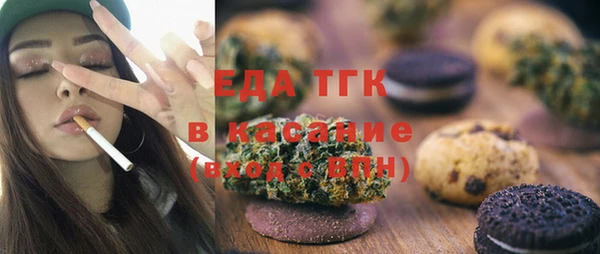 гашик Алексин